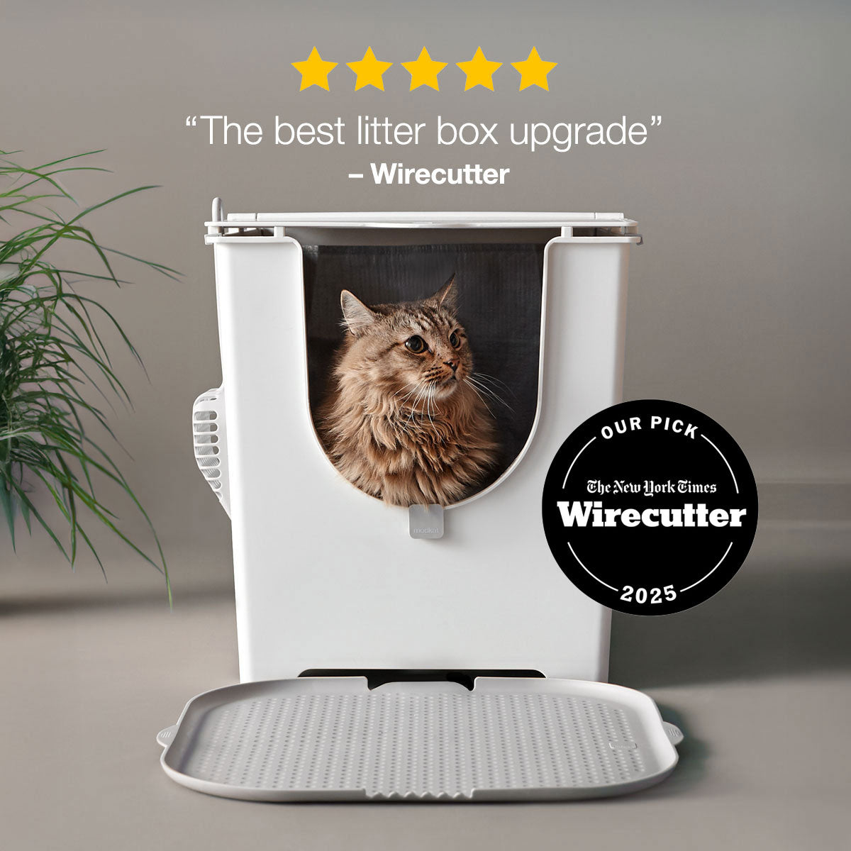 Wirecutter - Best Litter Box Upgrade