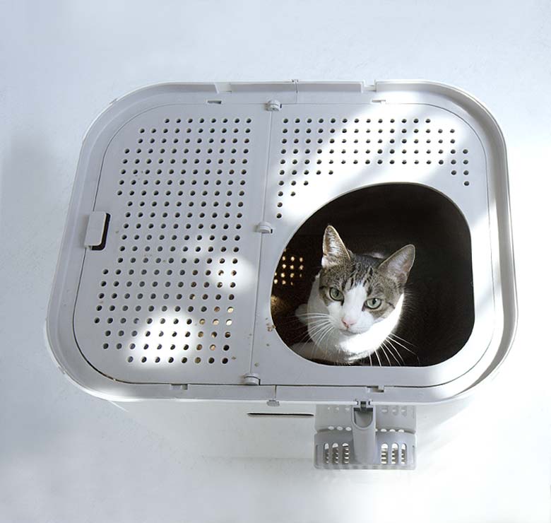 Modkat XL top view with cat poking it's head out