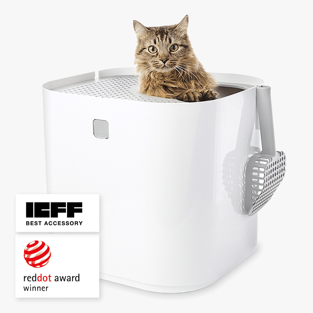 Modkat litter boxes animating one to the next. Modkat, Modkat XL, Modkat Flip and Modkat Tray