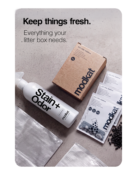 Modkat Refills used to keep things fresh.