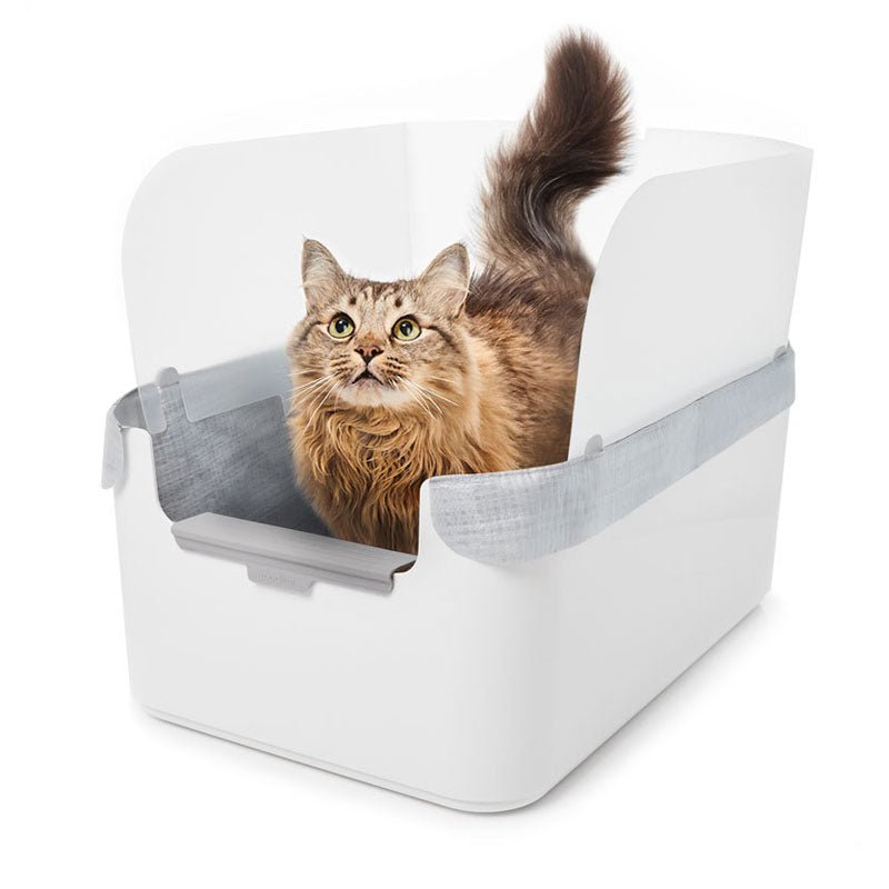 White Modkat Litter Tray with cat inside