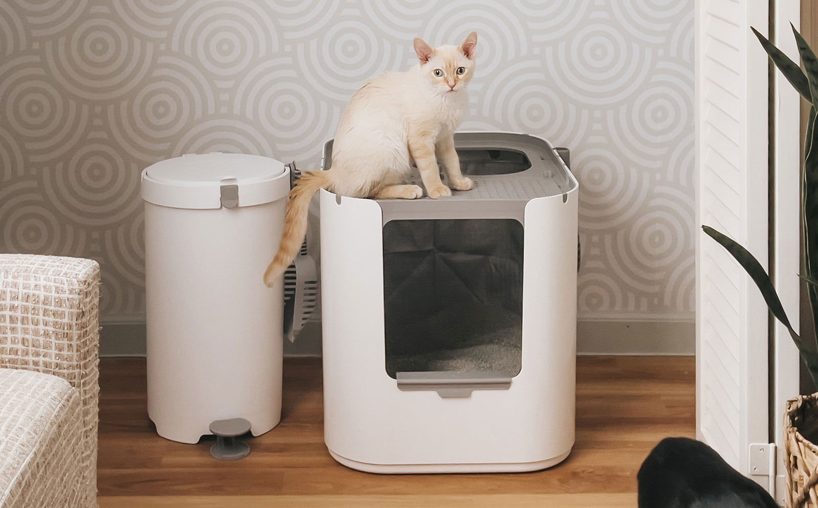 7 tips to make a stinky litter box smell fresh & clean. - Modkat