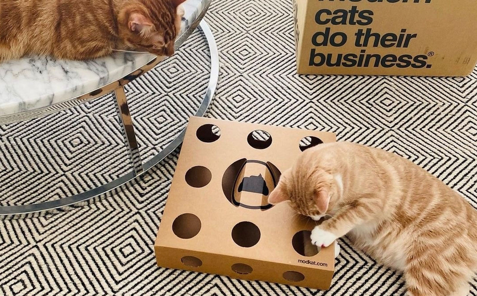 Toys, gadgets, and games for cats. - Modkat