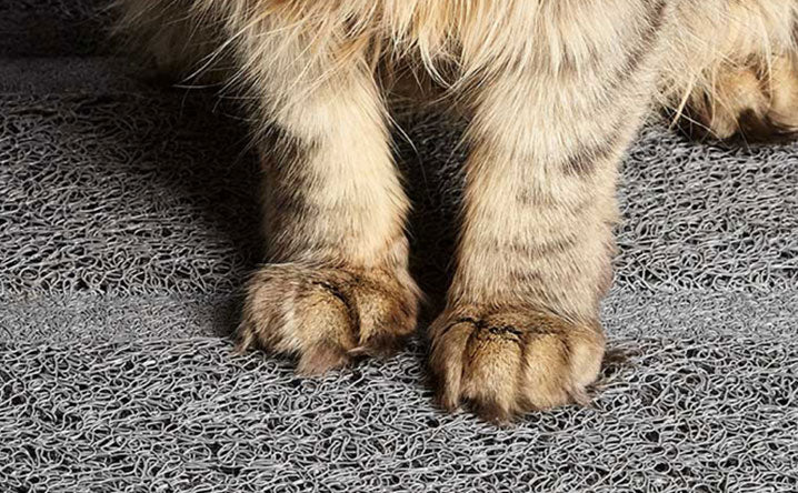 Minimize your cat's litter tracking with a litter box mat. - Modkat