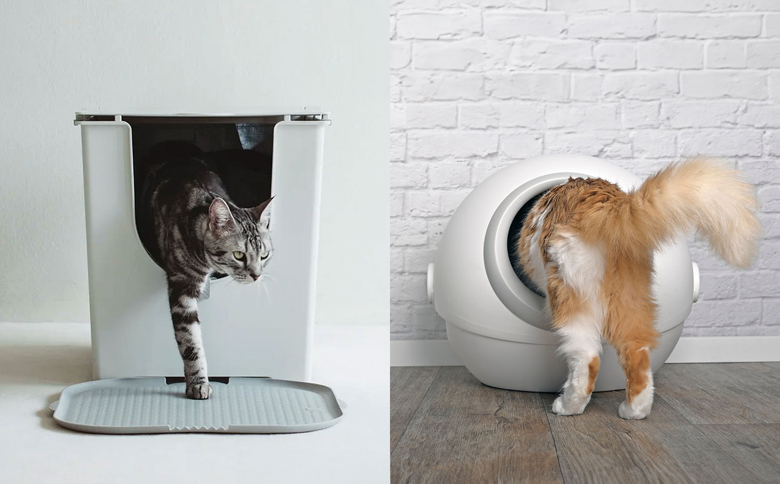 Comparing traditional litter boxes with self-cleaning solutions. - Modkat