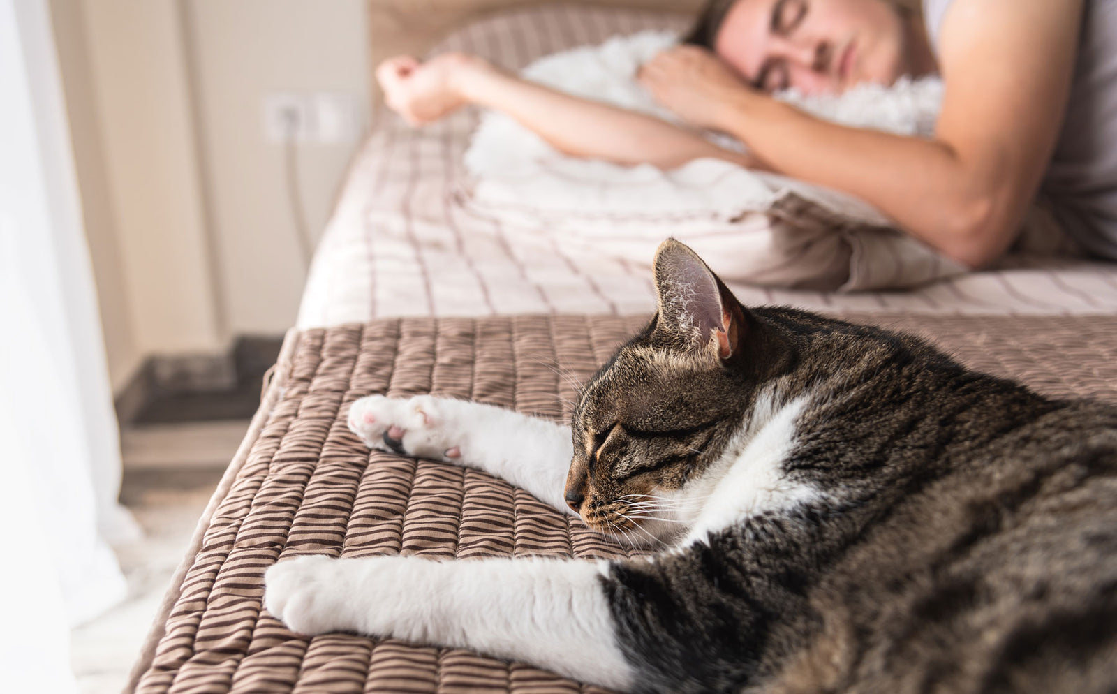 How to stop your cat from waking you up. - Modkat