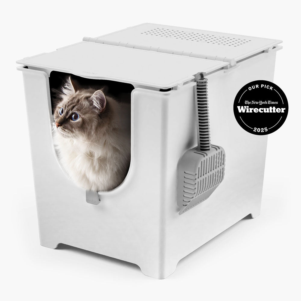 Modkat Flip - NYT Wirecutter Pick 2025