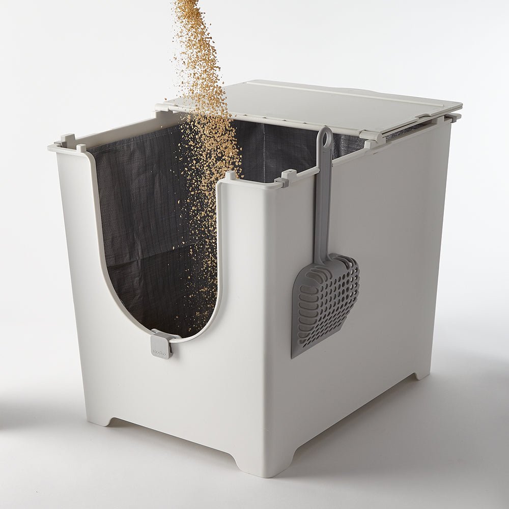 Pouring litter into Modkat Flip