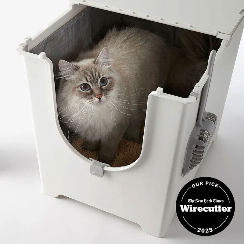 Cat using the Modkat Flip with the lid lipped open half way
