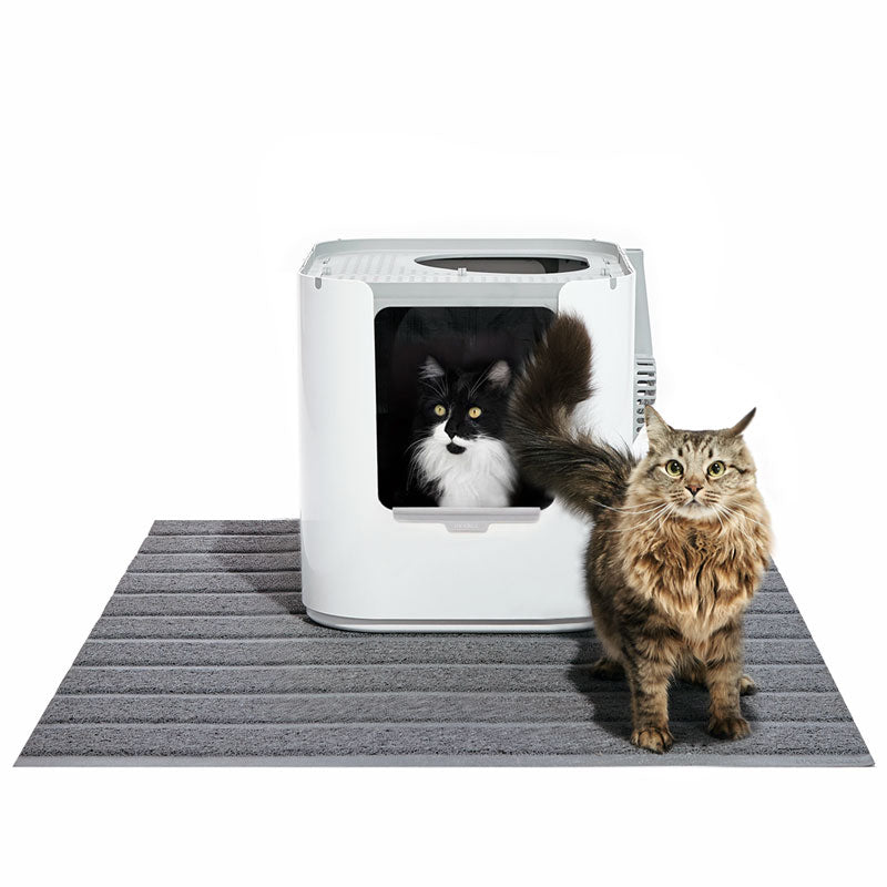 Modkat XL on a gray Modkat XL litter mat with black cat inside the litter box and a Maine Coon standing on the mat