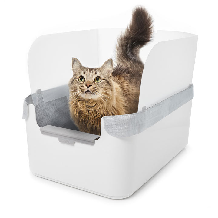 Modkat Tray - Open Litter Box