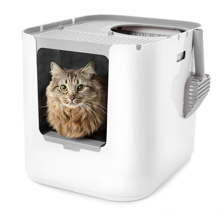Modkat XL - Front/Top-Entry Litter Box