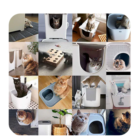 Collage of customer cats using Modkat litter boxes in different settings