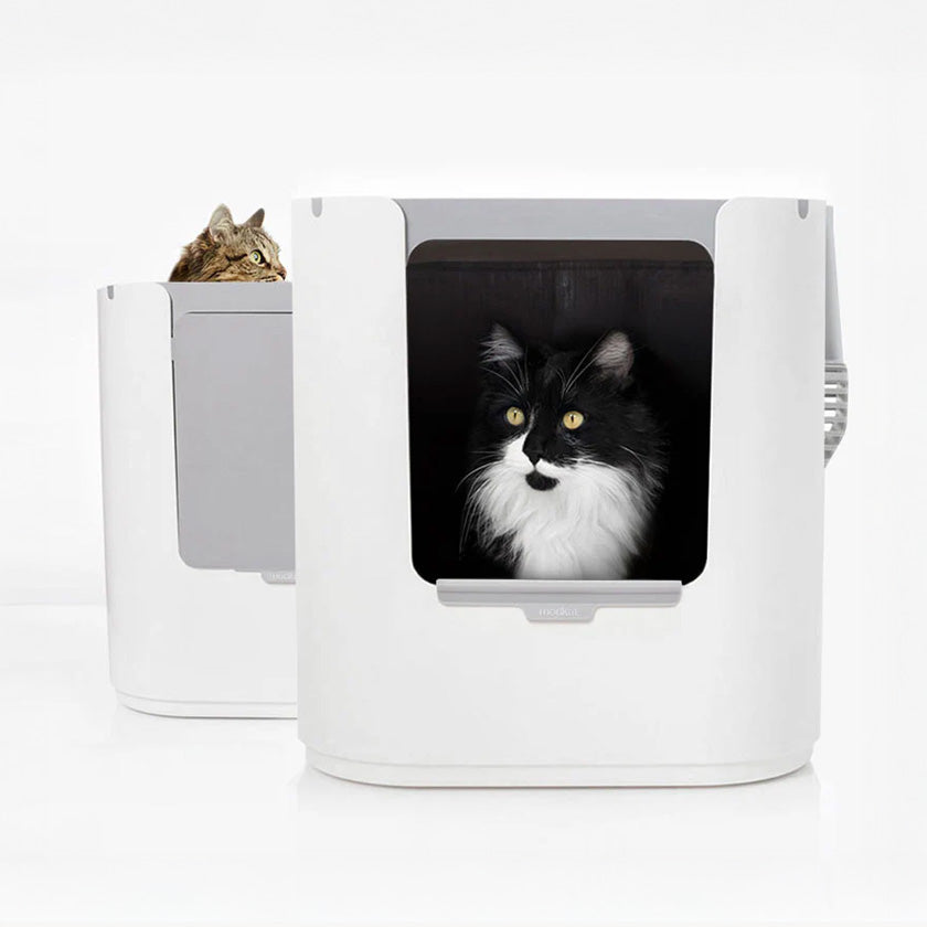 Modkat XL in front-entry and top-entry configurations with cats