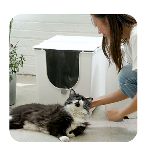 Person petting a cat next to a white Modkat Flip