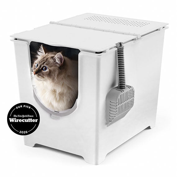 Modkat Flip white