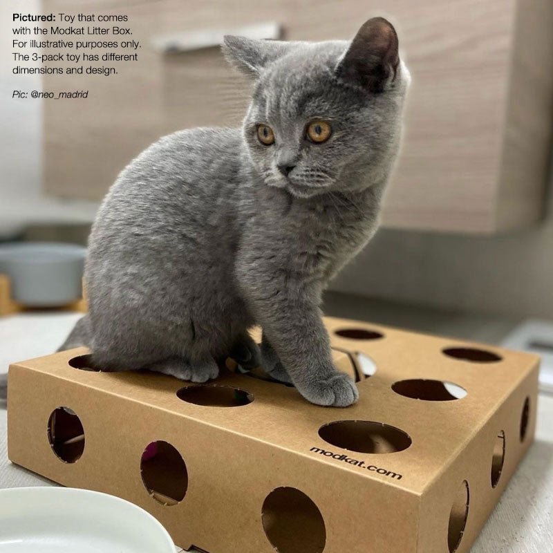 Cat Box Toy (3-Pack) - Modkat