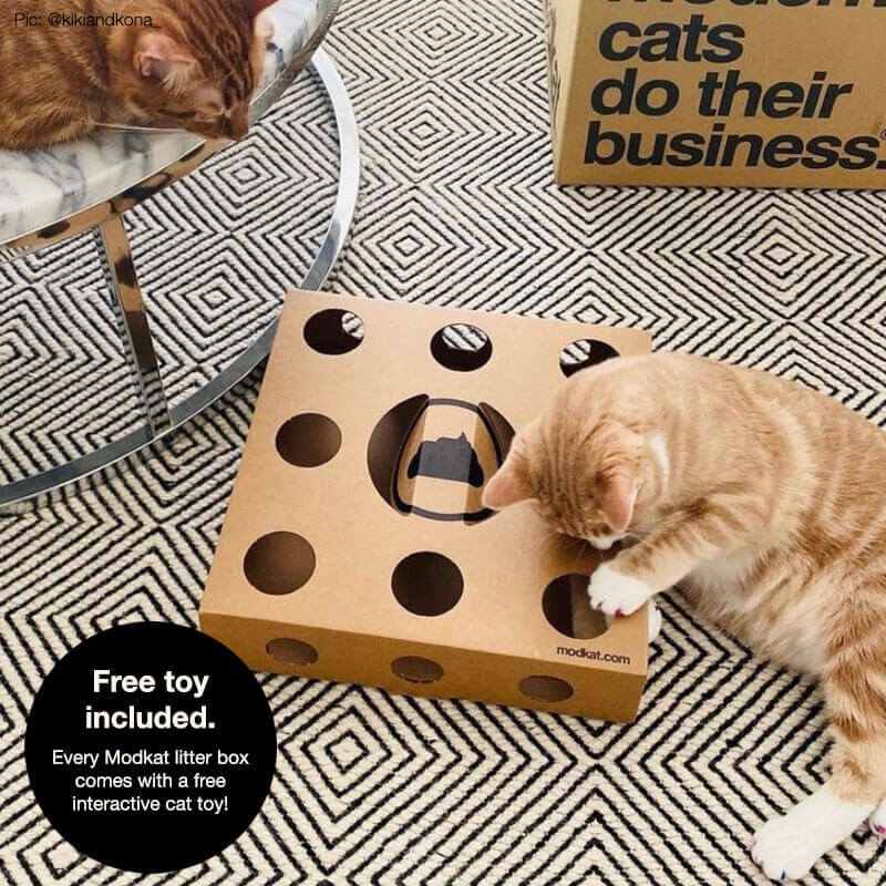 Parts pack interactive cat toy 