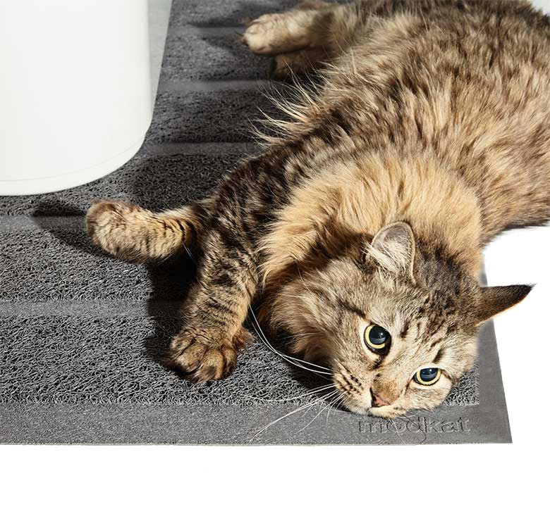 cat lying on the gray litter mat