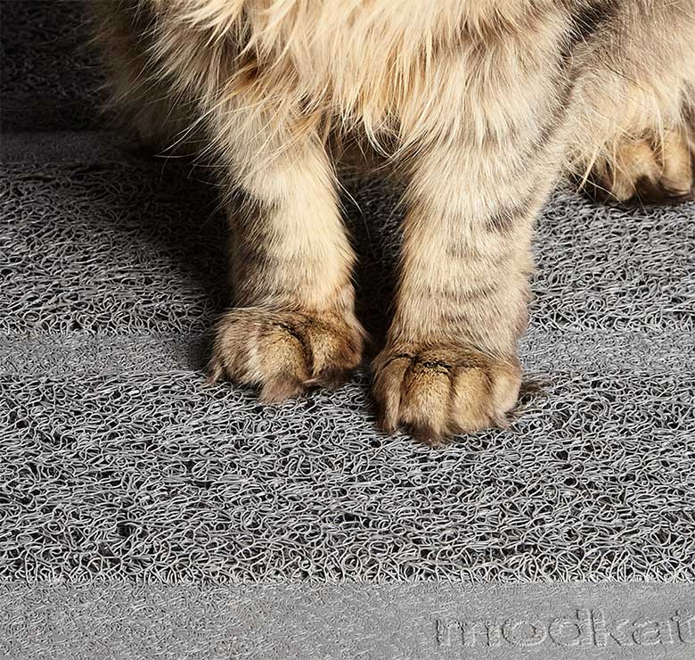 cats paws on the gray litter mat