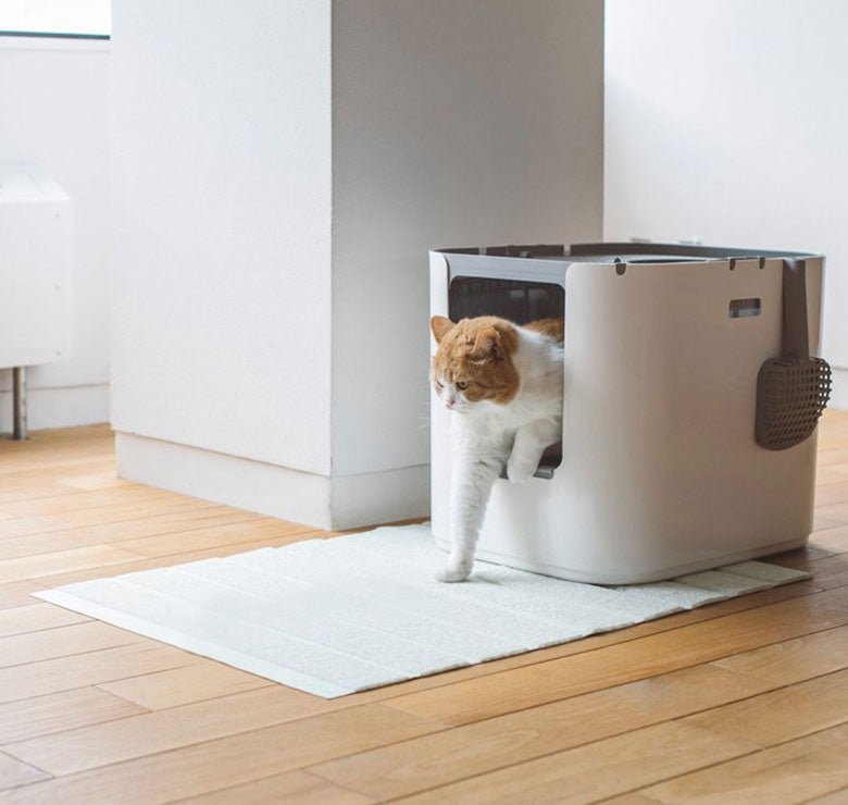 white Modkat XL on a white Modkat XL litter mat with cat exiting the litter box