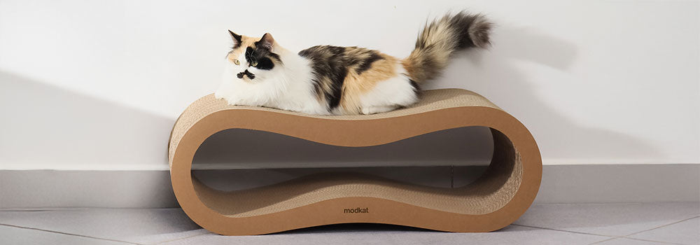 Modkat Scratcher/Lounge with cat laying on top.