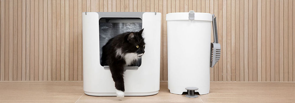 White Modkat Flip with a cat peeking out on a wooden floor with a Modkat Litter Keeper next to it