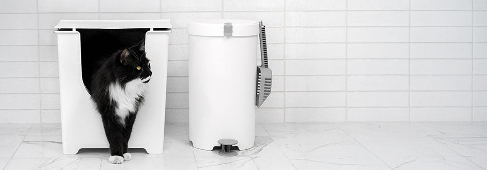 White modern bathroom with black cat stepping out of Modkat Flip next to a Modkat litter keeper