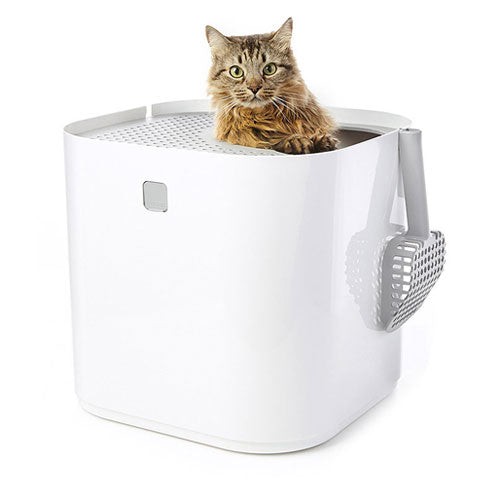 Modkat - Top-Entry Litter Box