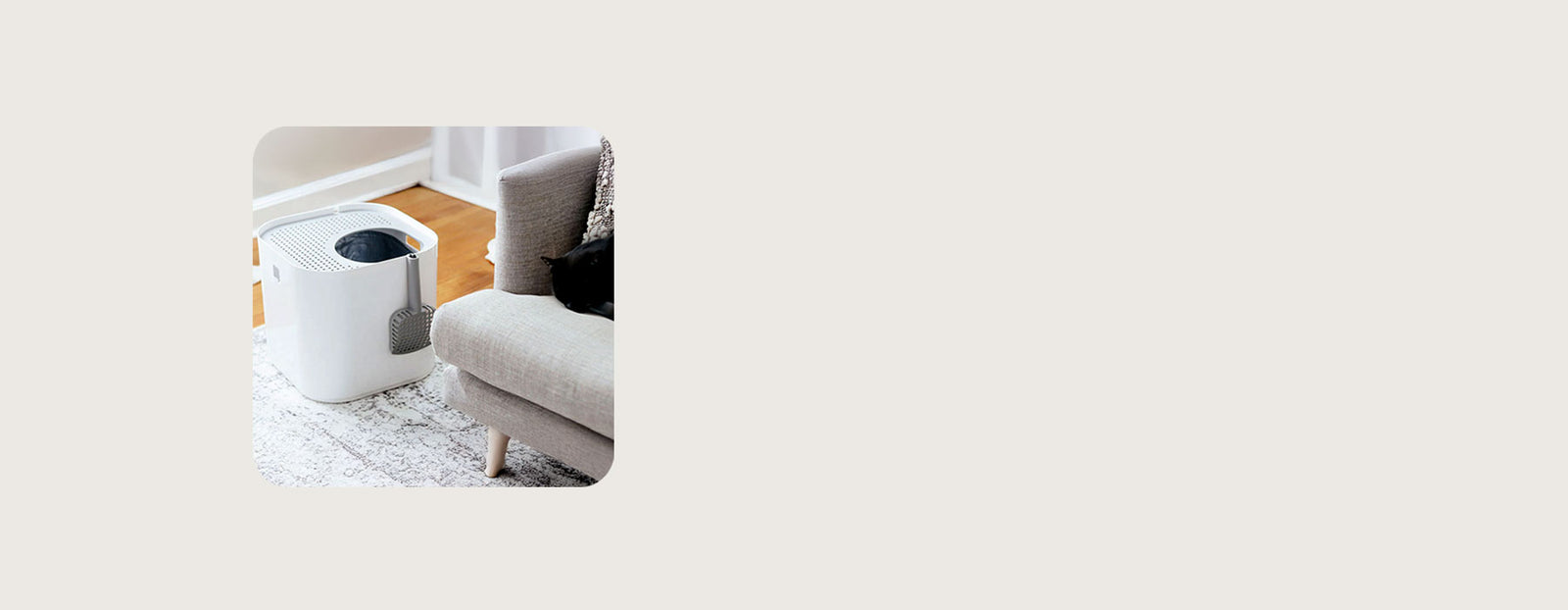 Modkat next to a modern room with elegant furniture