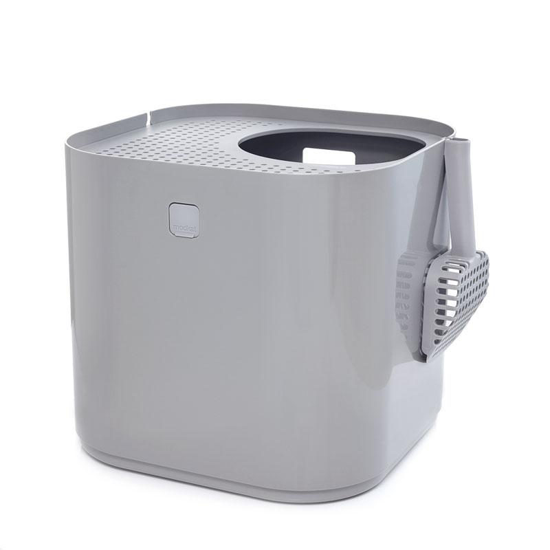 Gray Modkat