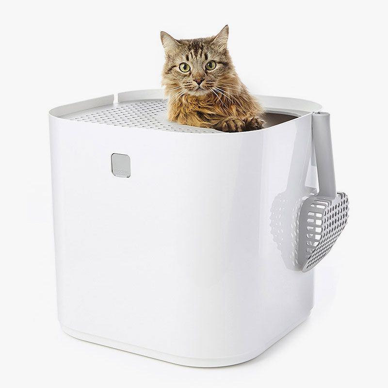Modkat with cat peeking out of the top-entry