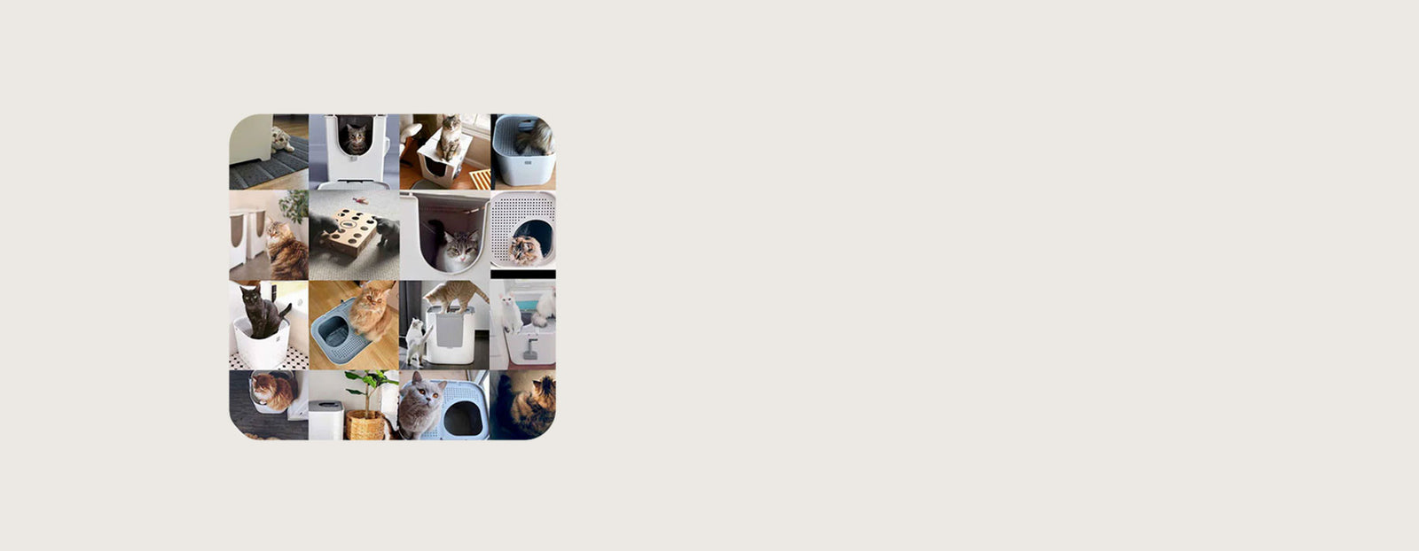 Instagram collage of cats using Modkat litter boxes
