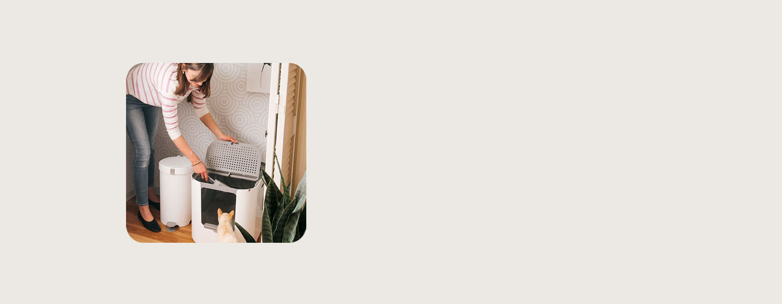 Cat parent scooping Modkat XL with cat looking on
