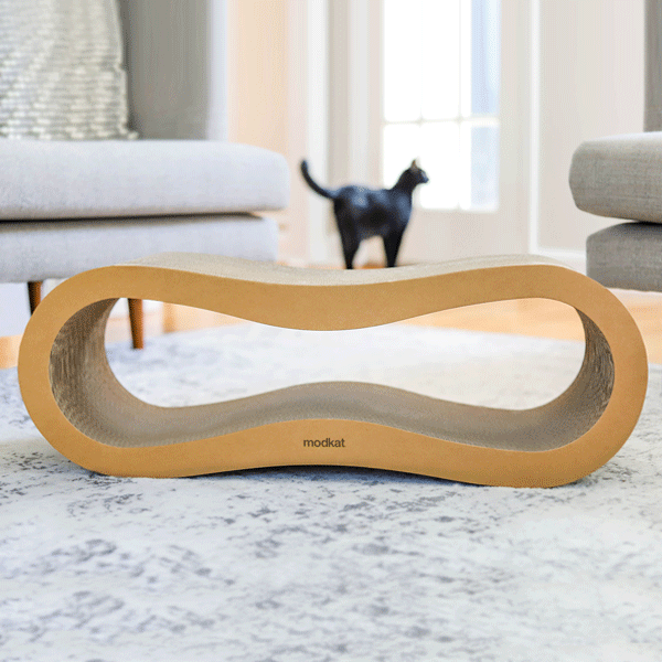 Modkat cardboard scratchers with black cat