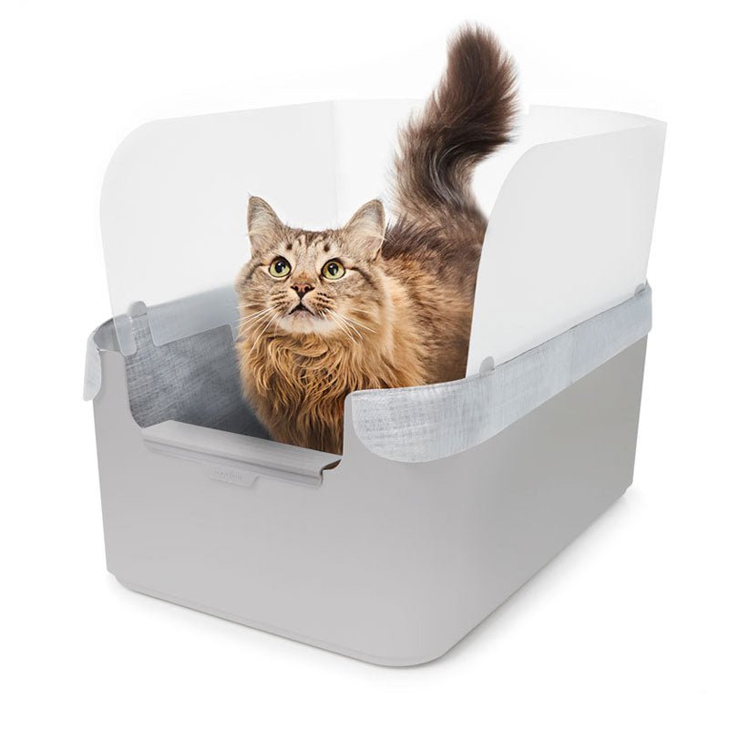 Gray Modkat Litter Tray with cat inside