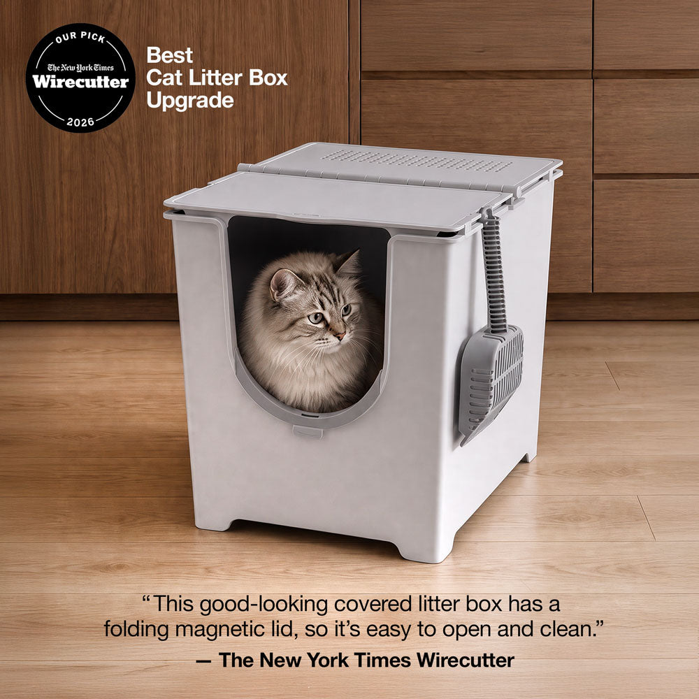 Wirecuter best litter box award Flip