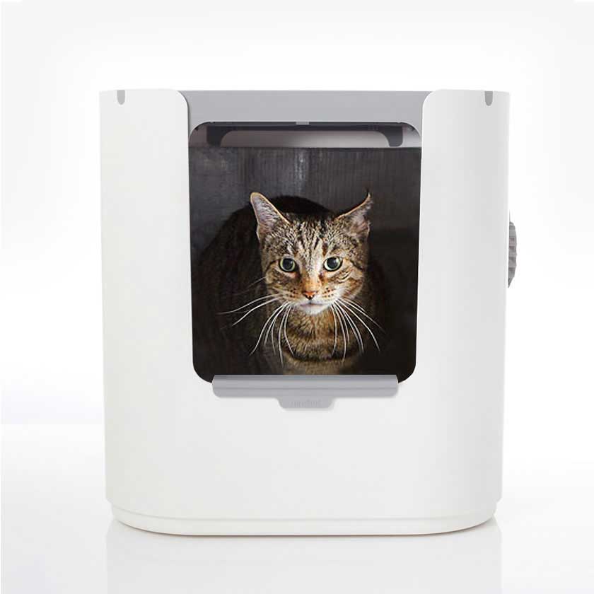 Modkat Xl in front-entry configuration, cat peaking out the front