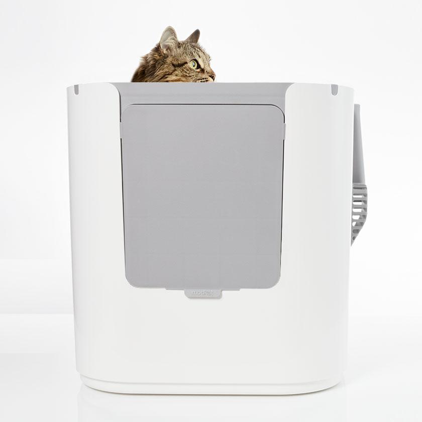 Modkat XL configured for top-entry, cat peeking out the top